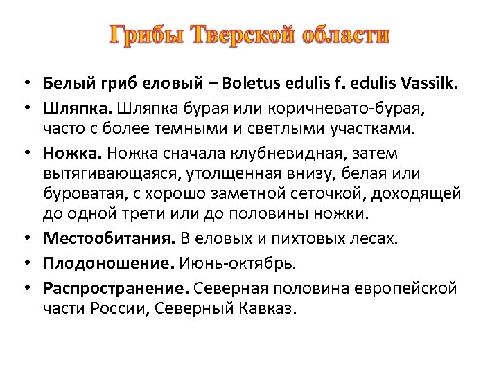  • Белый гриб еловый – Boletus edulis f. edulis Vassilk. • Шляпка бурая