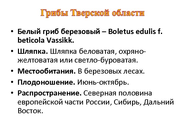  • Белый гриб березовый – Boletus edulis f. beticola Vassikk. • Шляпка беловатая,