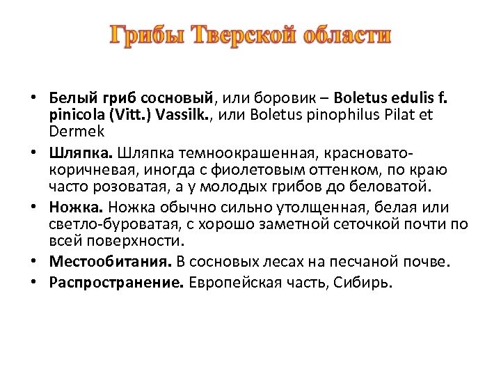  • Белый гриб сосновый, или боровик – Boletus edulis f. pinicola (Vitt. )