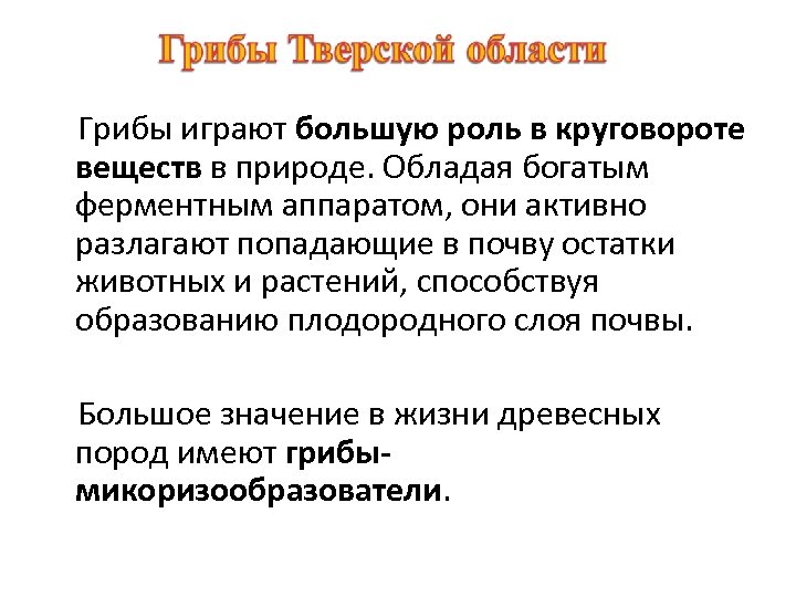 Грибы играют большую роль в круговороте веществ в природе. Обладая богатым ферментным аппаратом, они