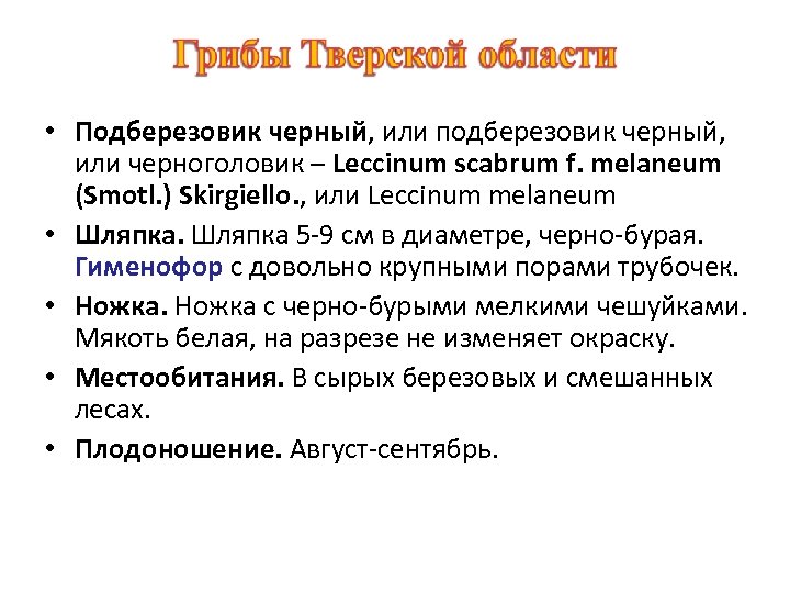  • Подберезовик черный, или подберезовик черный, или черноголовик – Leccinum scabrum f. melaneum