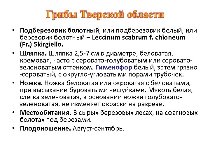  • Подберезовик болотный, или подберезовик белый, или березовик болотный – Leccinum scabrum f.