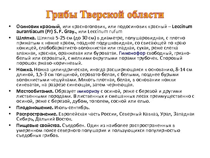 • • Осиновик красный, или красноголовик, или подосиновик красный – Leccinum aurantiacum (Fr)