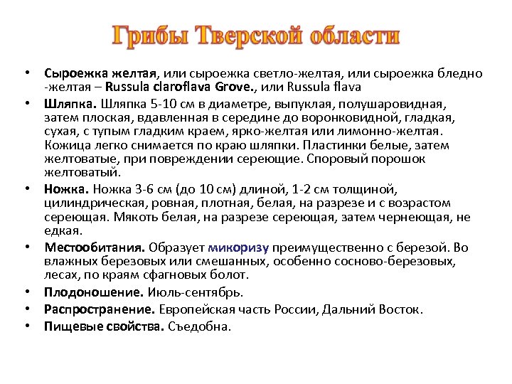  • Сыроежка желтая, или сыроежка светло-желтая, или сыроежка бледно -желтая – Russula claroflava