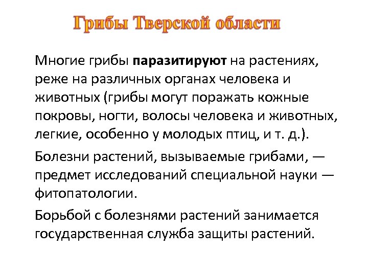 Многие грибы паразитируют на растениях, реже на различных органах человека и животных (грибы могут