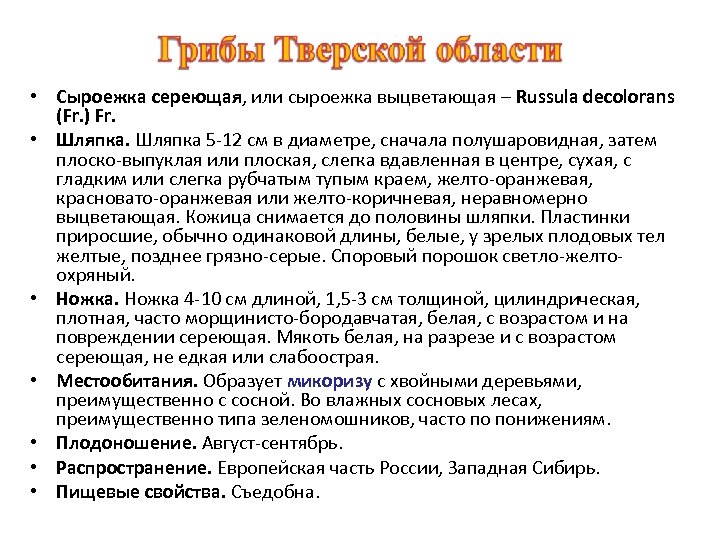  • Сыроежка сереющая, или сыроежка выцветающая – Russula decolorans (Fr. ) Fr. •