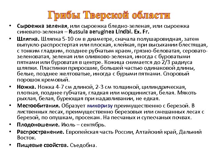  • Сыроежка зеленая, или сыроежка бледно-зеленая, или сыроежка синевато-зеленая – Russula aeruginea Lindbl.