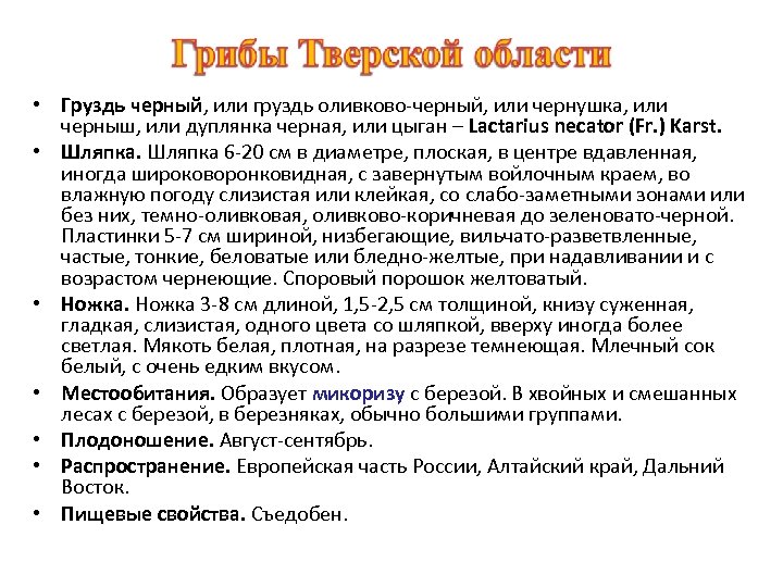  • Груздь черный, или груздь оливково-черный, или чернушка, или черныш, или дуплянка черная,