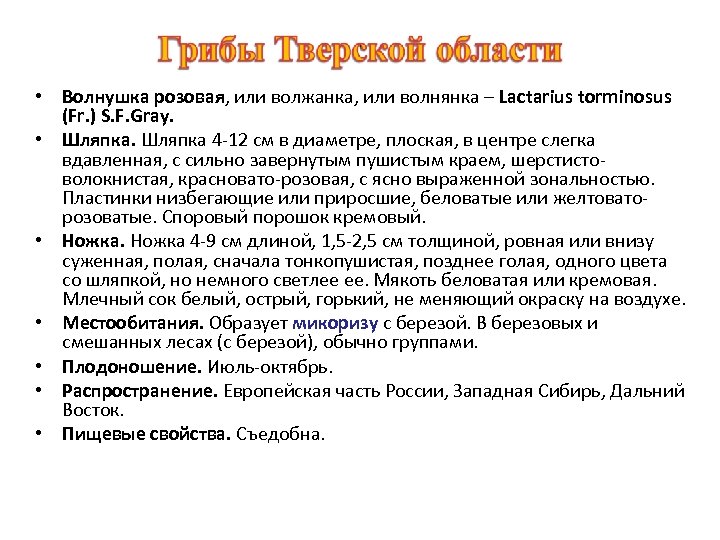  • Волнушка розовая, или волжанка, или волнянка – Lactarius torminosus (Fr. ) S.