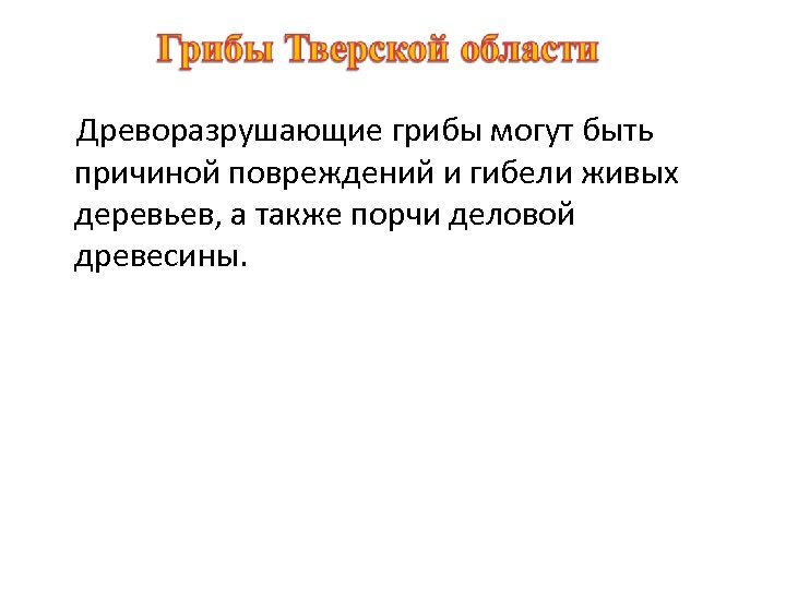 Древоразрушающие грибы могут быть причиной повреждений и гибели живых деревьев, а также порчи деловой