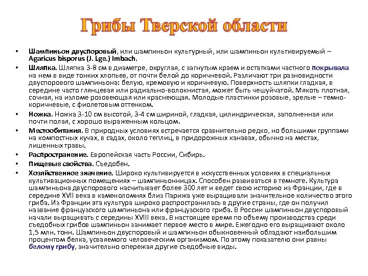  • • Шампиньон двуспоровый, или шампиньон культурный, или шампиньон культивируемый – Agaricus bisporus