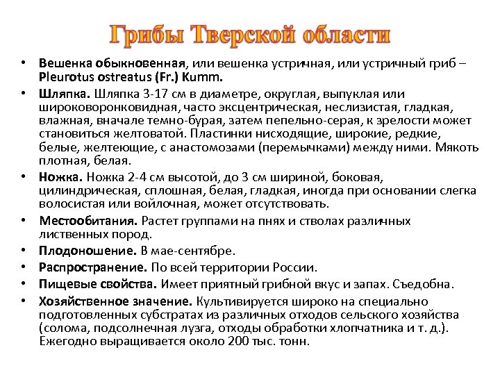  • Вешенка обыкновенная, или вешенка устричная, или устричный гриб – Pleurotus ostreatus (Fr.
