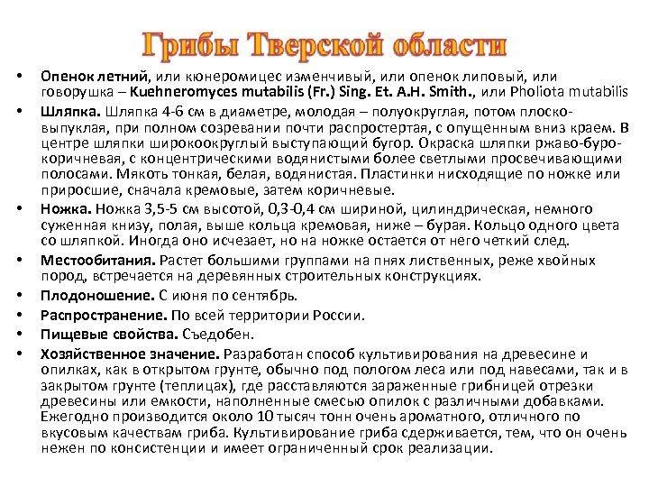  • • Опенок летний, или кюнеромицес изменчивый, или опенок липовый, или говорушка –