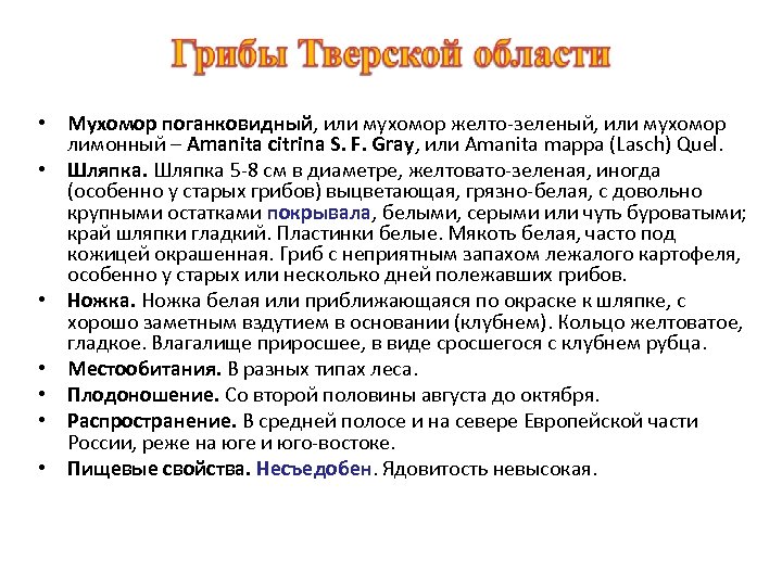  • Мухомор поганковидный, или мухомор желто-зеленый, или мухомор лимонный – Amanita citrina S.