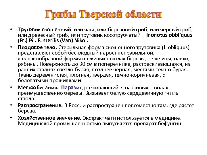  • Трутовик скошенный, или чага, или березовый гриб, или черный гриб, или древесный