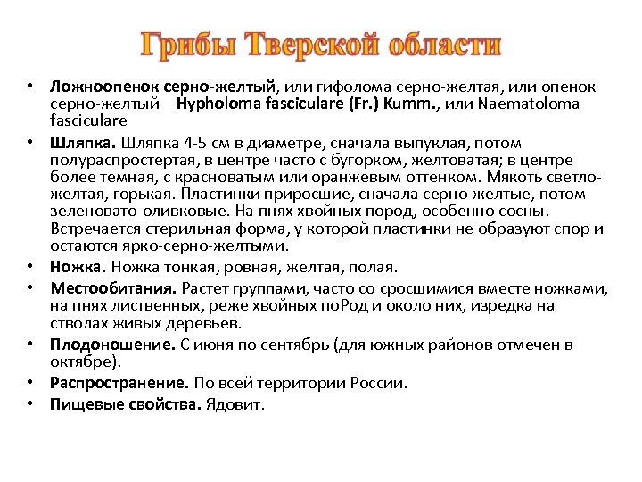  • Ложноопенок серно-желтый, или гифолома серно-желтая, или опенок серно-желтый – Hypholoma fasciculare (Fr.