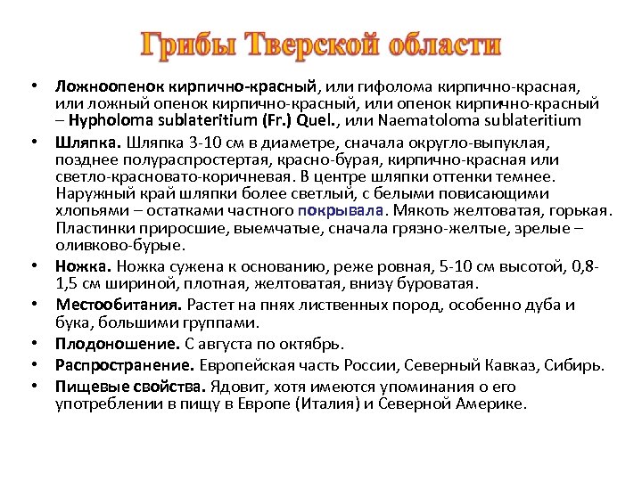  • Ложноопенок кирпично-красный, или гифолома кирпично-красная, или ложный опенок кирпично-красный, или опенок кирпично-красный