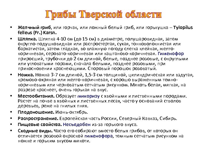 • • Желчный гриб, или горчак, или ложный белый гриб, или горькушка –