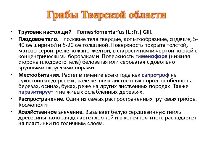  • Трутовик настоящий – Fomes fomentarius (L. : Fr. ) Gill. • Плодовое