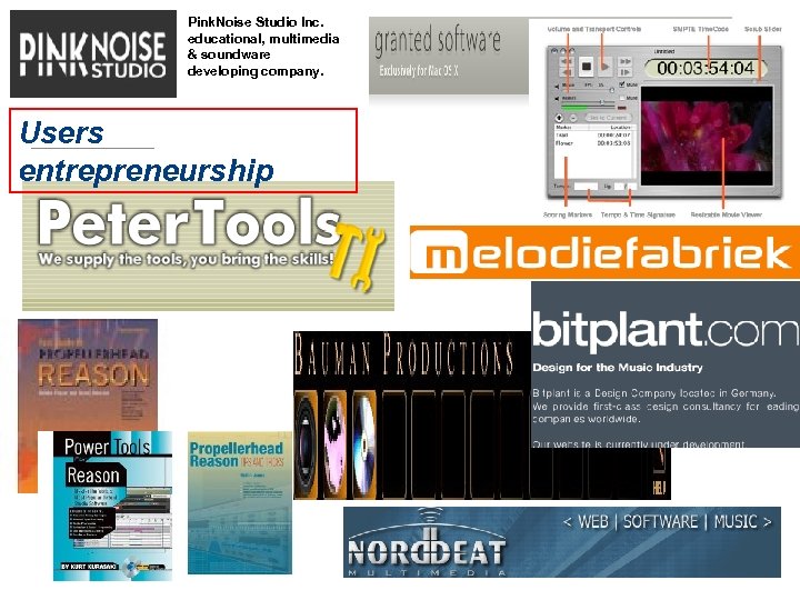 Pink. Noise Studio Inc. educational, multimedia & soundware developing company. Users entrepreneurship MAY 2013