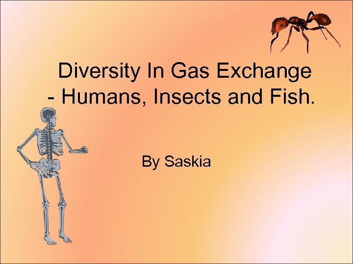 Diversity In Gas Exchange - Humans, Insects and Fish. By Saskia 