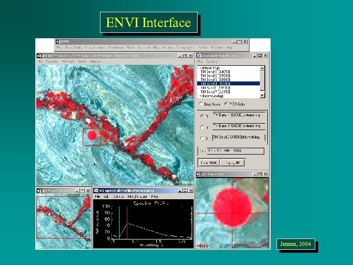 ENVI Interface Jensen, 2004 