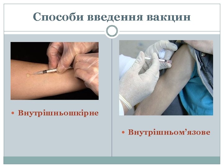 Способи введення вакцин Внутрішньошкірне Внутрішньом’язове 