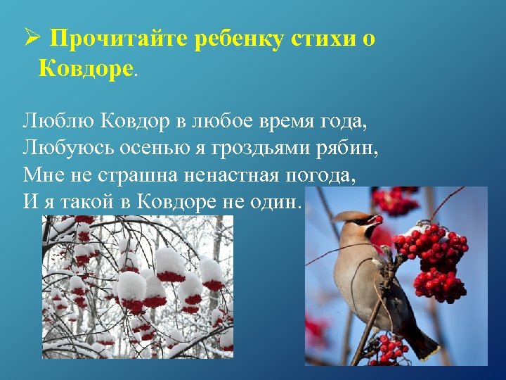 Ø Прочитайте ребенку стихи о Ковдоре. Люблю Ковдор в любое время года, Любуюсь осенью