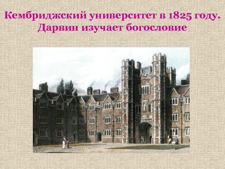 Кембриджский университет в 1825 году. Дарвин изучает богословие 