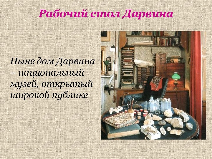 Рабочий стол Дарвина Ныне дом Дарвина – национальный музей, открытый широкой публике 