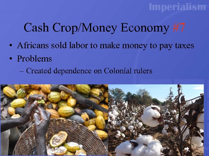 Cash Crop/Money Economy #7 • Africans sold labor to make money to pay taxes