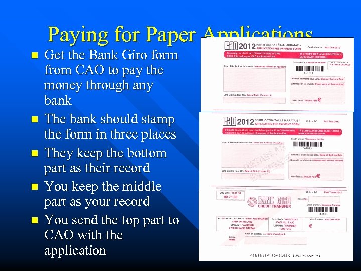 Paying for Paper Applications n n n Get the Bank Giro form from CAO