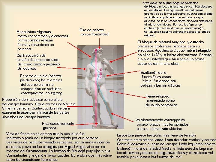 Contraposición de tamaño desproporcionado del brazo caído y pequeño del doblado En torno a