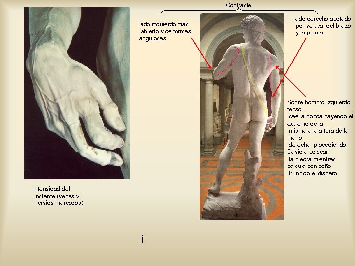 Contraste lado izquierdo más abierto y de formas angulosas lado derecho acotado por vertical