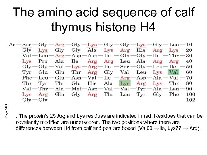 Page 1424 The amino acid sequence of calf thymus histone H 4 . The