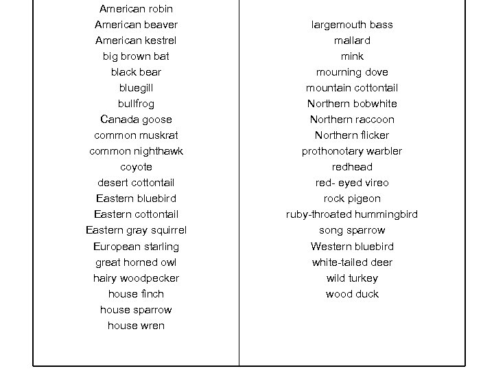 American robin American beaver American kestrel big brown bat black bear bluegill bullfrog Canada