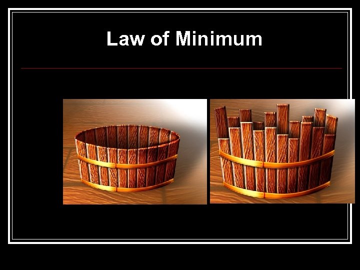 Law of Minimum 