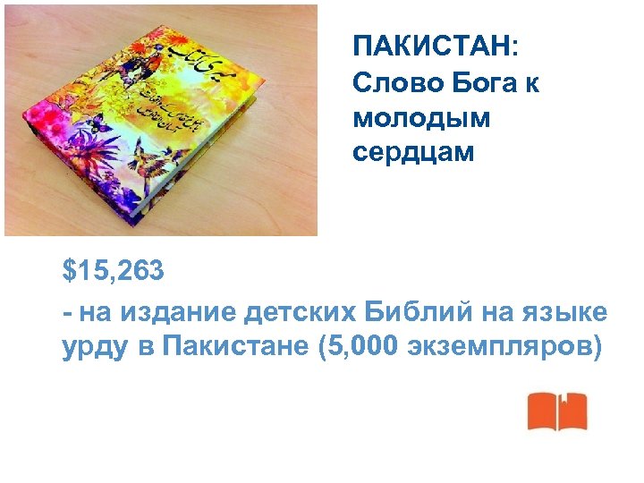 ПАКИСТАН: Слово Бога к молодым сердцам $15, 263 - на издание детских Библий на