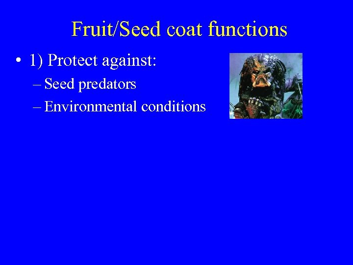 Fruit/Seed coat functions • 1) Protect against: – Seed predators – Environmental conditions 