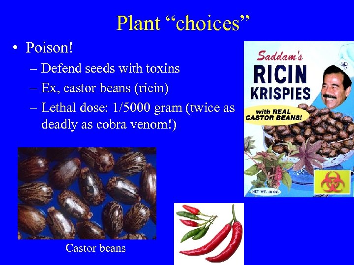 Plant “choices” • Poison! – Defend seeds with toxins – Ex, castor beans (ricin)