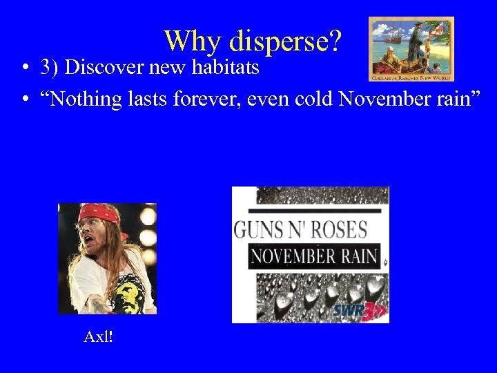 Why disperse? • 3) Discover new habitats • “Nothing lasts forever, even cold November