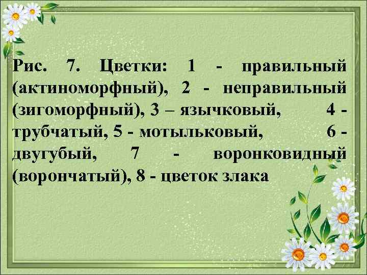 Рис. 7. Цветки: 1 правильный (актиноморфный), 2 неправильный (зигоморфный), 3 – язычковый, 4 трубчатый,