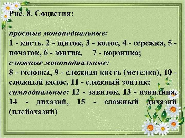 Рис. 8. Соцветия: простые моноподиальные: 1 кисть. 2 щиток, 3 колос, 4 сережка, 5