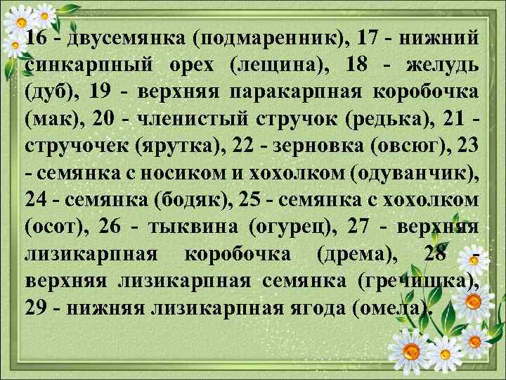 16 двусемянка (подмаренник), 17 нижний синкарпный орех (лещина), 18 желудь (дуб), 19 верхняя паракарпная