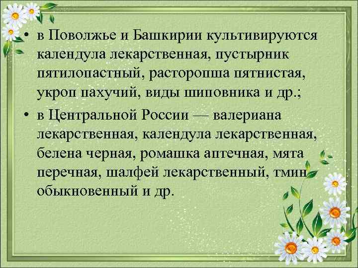 • в Поволжье и Башкирии культивируются календула лекарственная, пустырник пятилопастный, расторопша пятнистая, укроп