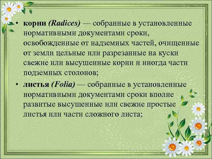  • корни (Radices) — собранные в установленные нормативными документами сроки, освобожденные от надземных