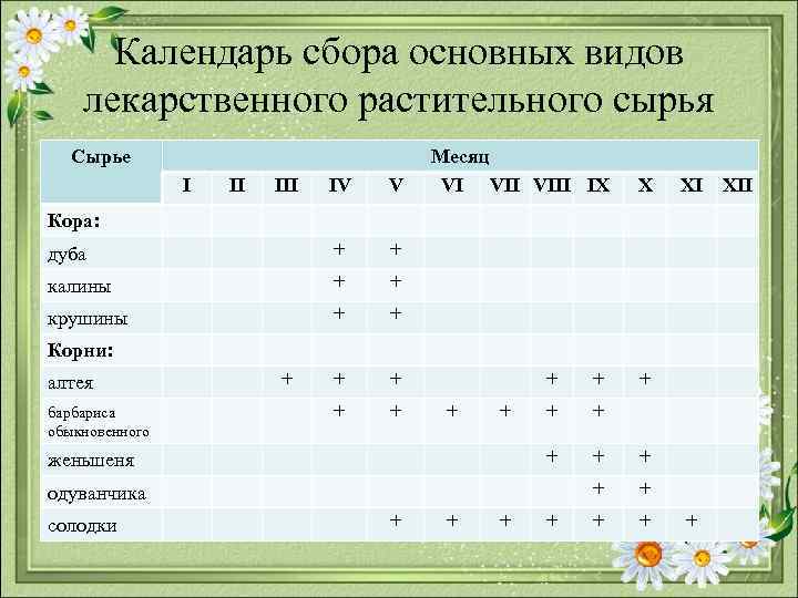 Календарь сбора основных видов лекарственного растительного сырья Сырье I II IV V дуба +