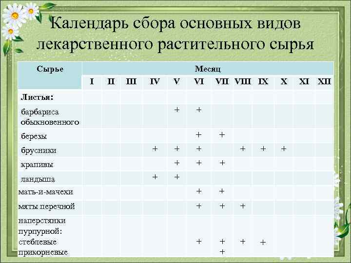 Календарь сбора основных видов лекарственного растительного сырья Сырье I II III V + IV