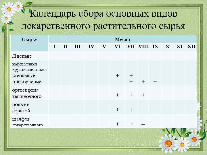Календарь сбора основных видов лекарственного растительного сырья Сырье I II IV V Месяц VI