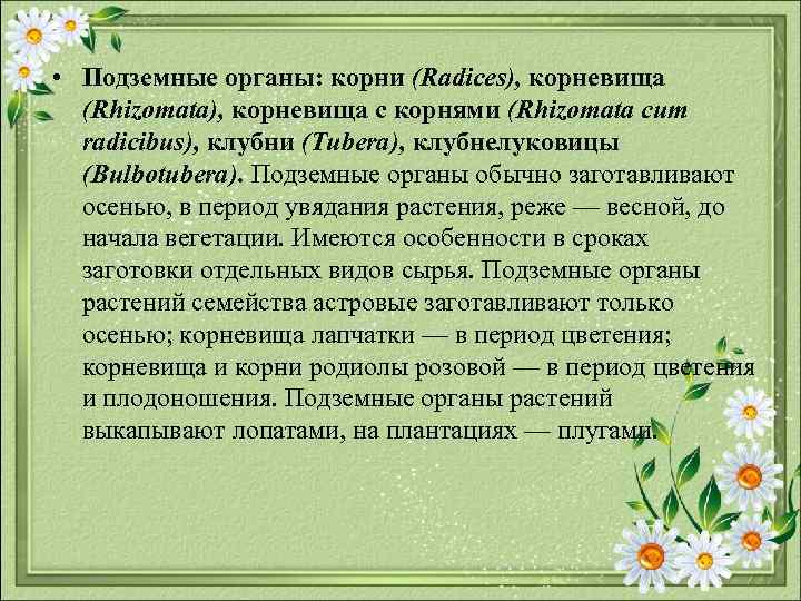  • Подземные органы: корни (Radices), корневища (Rhizomata), корневища с корнями (Rhizomata cum radicibus),